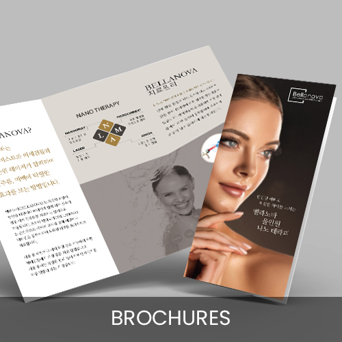 Brochures & Flyer