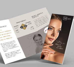 Brochures & Flyer